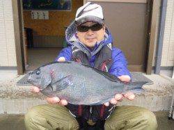 湯浅の磯　タカ島にてグレ6枚