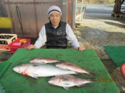 田井の海上釣り堀　メジロ&マダイ