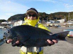 ヒラバエ　フカセでグレ・カワハギの釣果