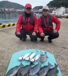 沖一文字内テトラ側にてグレ・スマガツオ・ウマヅラの釣果
