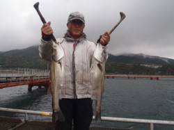 須磨海づり公園　シラサエビのウキ流し釣りで…