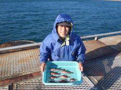 須磨海づり公園　胴突き仕掛けでアイナメ・アコウ・ガシラ