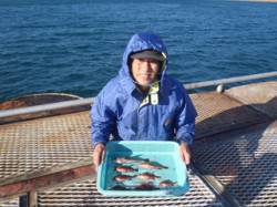 須磨海づり公園　胴突き仕掛けでアイナメ・ア…