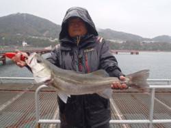 須磨海づり公園　雨の中でもスズキ65cmあ…