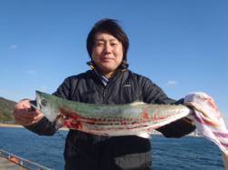 須磨海づり公園　ミノーにサゴシ69cmがH…