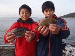 須磨海づり公園　投げ釣りでカレイ・ウミタナ…