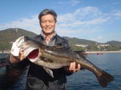 須磨海づり公園　のませでスズキ73cmをキ…