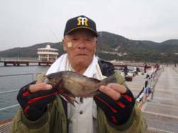 須磨海づり公園　シラサエビのウキ流し釣りで…