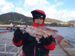 須磨海釣り公園　ウキ流し釣りでコブダイ40cm