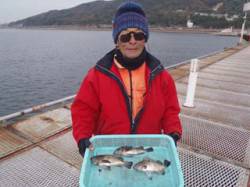 須磨海づり公園、シラサエビの流し釣りでメバ…