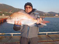 須磨海づり公園　ウキ流し釣りでマダイ66c…