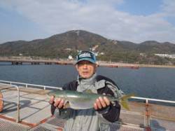 須磨海づり公園　ウキ流し釣りでハマチ50c…