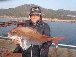 須磨海釣り公園　ウキ流し釣りで美味しい正月…
