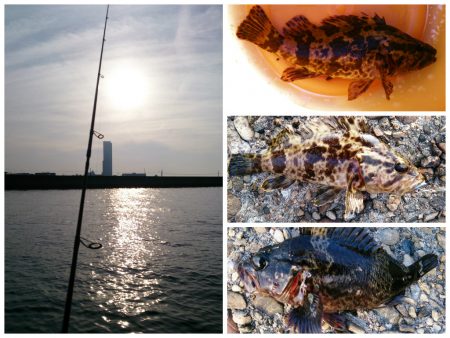 ライトゲームで五目釣り