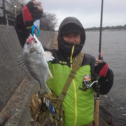 高砂で初釣り♪短時間でキビレ2枚