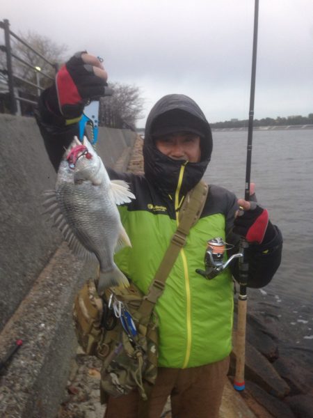  高砂で初釣り♪短時間でキビレ2枚
