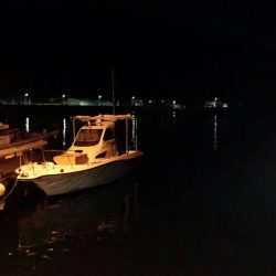 メバリングでしたがシーバスゲット