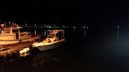 メバリングでしたがシーバスゲット