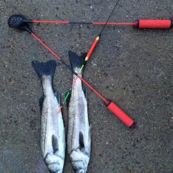 終わり良ければラスト1