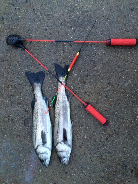 終わり良ければラスト１