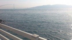 明石新波止場で良型キスをGeｔ