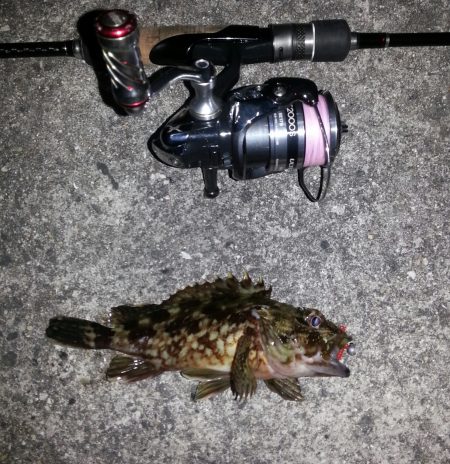 比井漁港　爆風ロック調査！