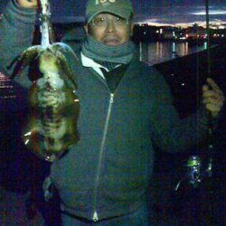 今年初アオリ★ねばってねばって粘りました!