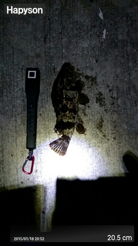 舞子漁港にて夜の初釣り