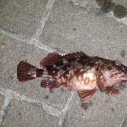 今年初、長時間釣行で開幕戦一勝！