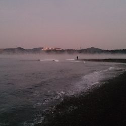 今年はヒラスズキはお留守です。