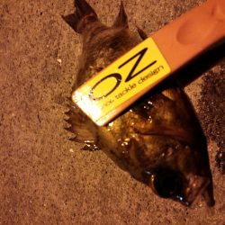 ライトワインドで！