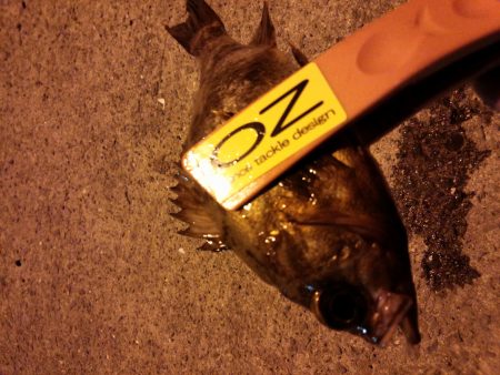 ライトワインドで！