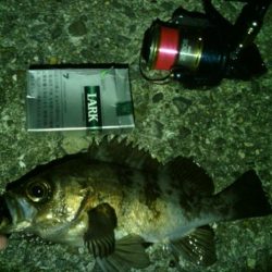 ランガンしました。