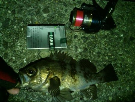 ランガンしました。