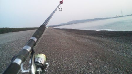 煙樹ヶ浜で、メジロ