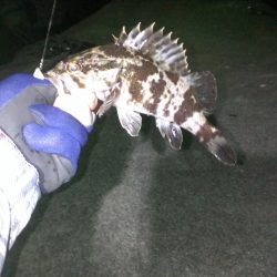 強風の中の釣行