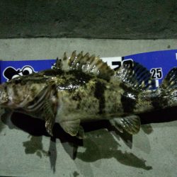 大阪湾奥でのガシライング　アツ過ぎです！