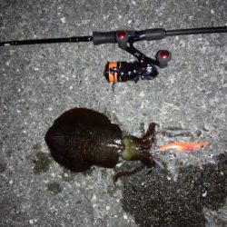 大きいの求めて行って来ましたが残念