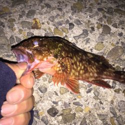 貝塚ガシリングへ出陣‼︎