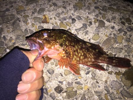貝塚ガシリングへ出陣‼︎