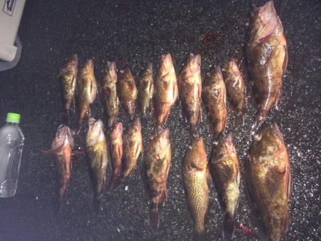 ロックフィッシュ