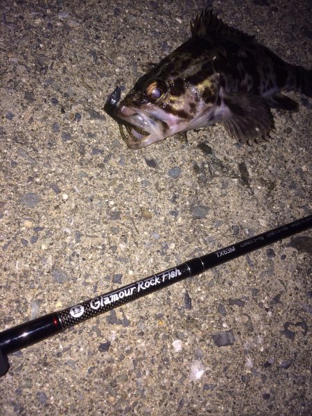 ロックフィッシュ