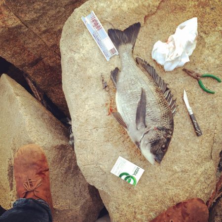 荒れ荒れの一日