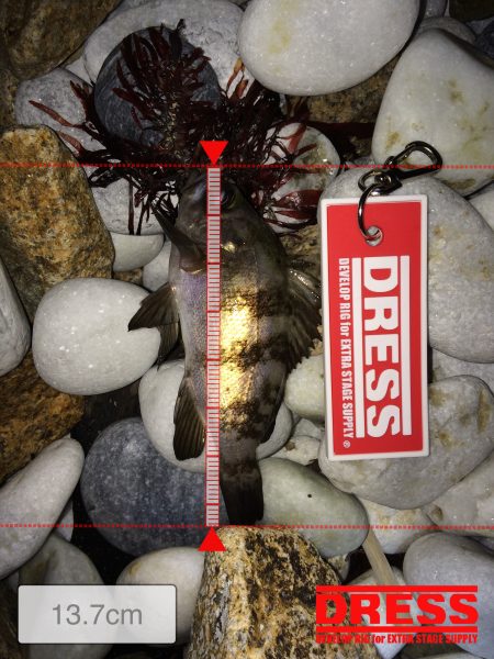 泉南サーフ渋かった‼️