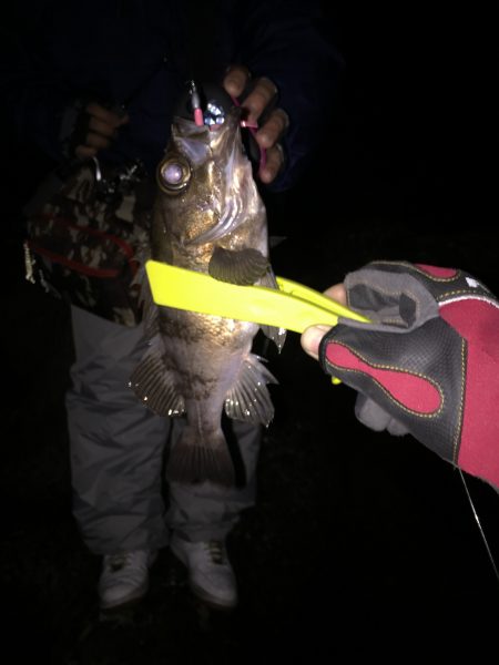 2015年 初釣行！！