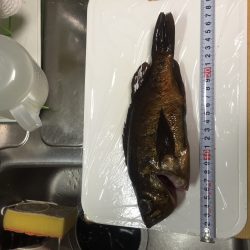 2回目のメバリング