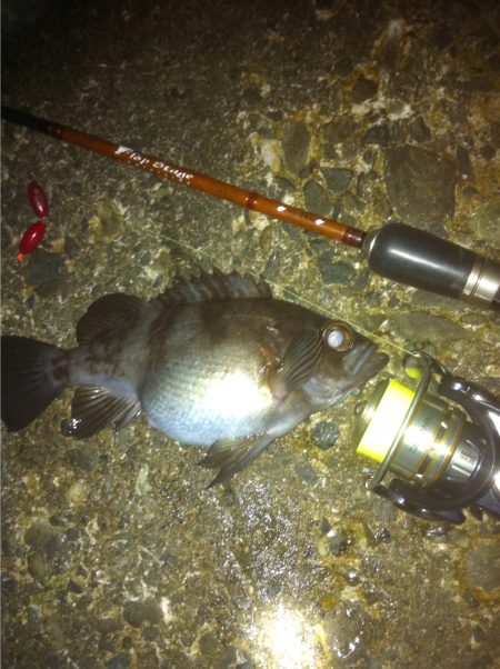 淡路へ初釣り、メバリングで楽しみました