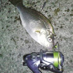 今年の初フィッシュは・・・