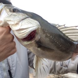 終わり良ければラスト1