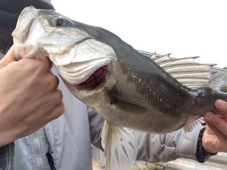 終わり良ければラスト1